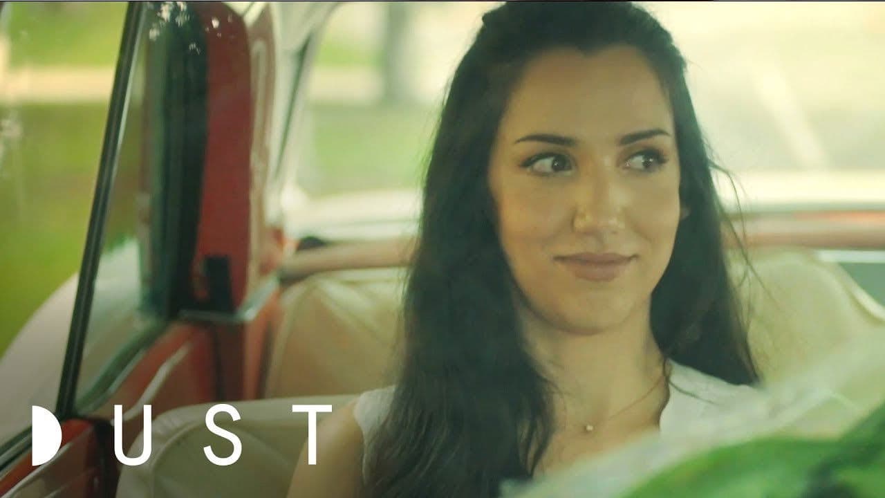 Poster backdrop for The Guide