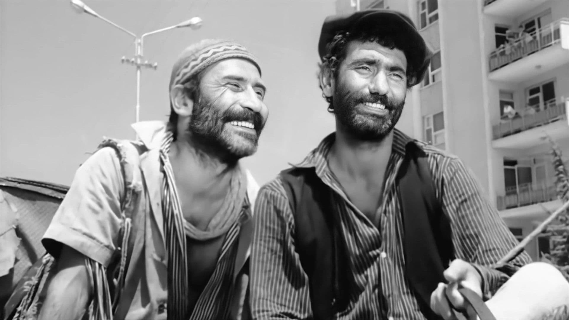 Poster backdrop for Hope