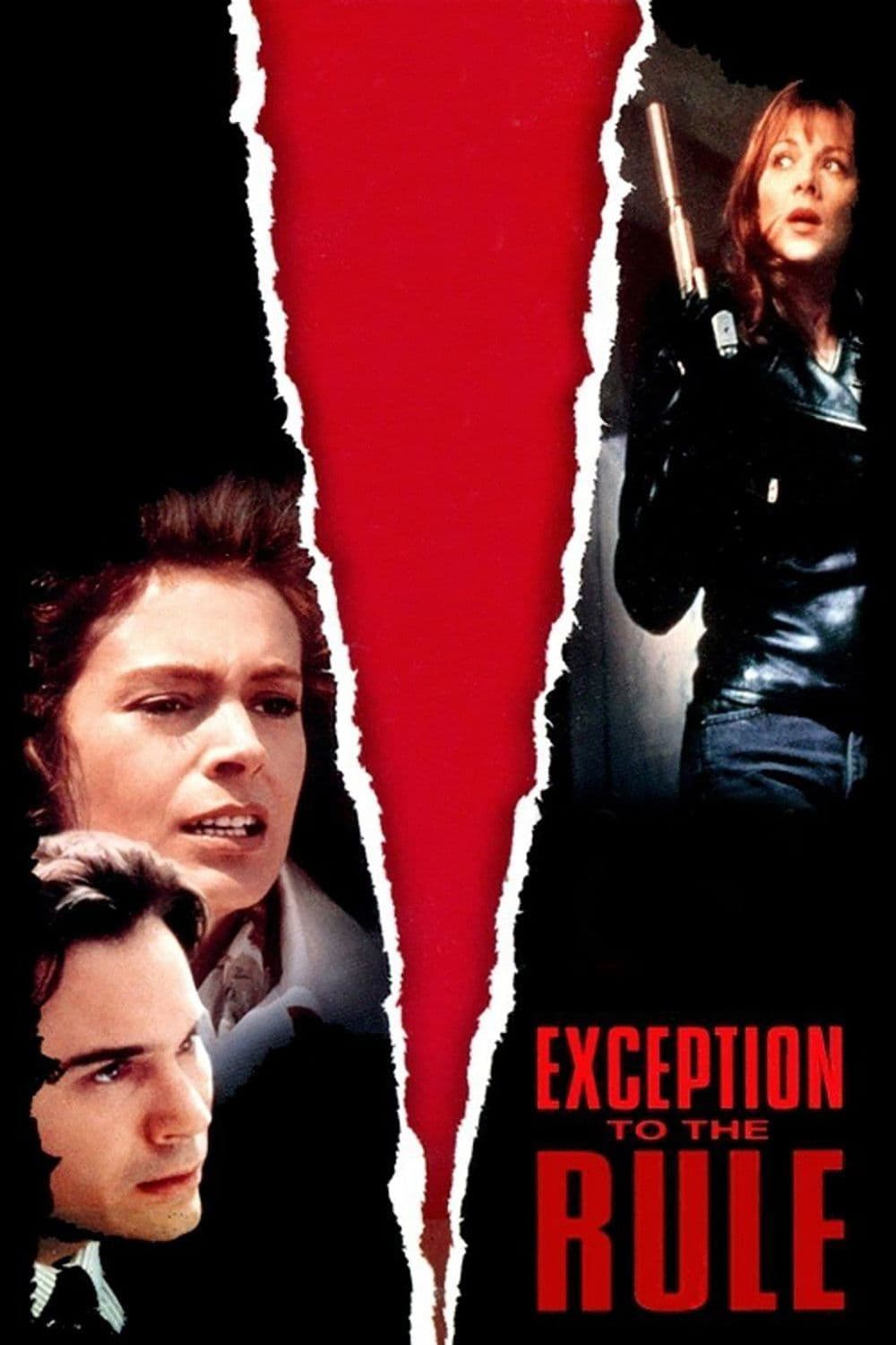 Poster backdrop for Exception to the Rule