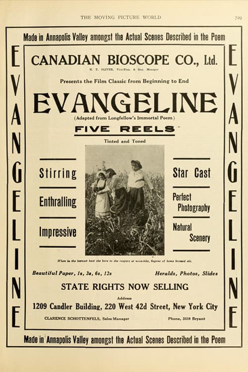 Poster backdrop for Evangeline