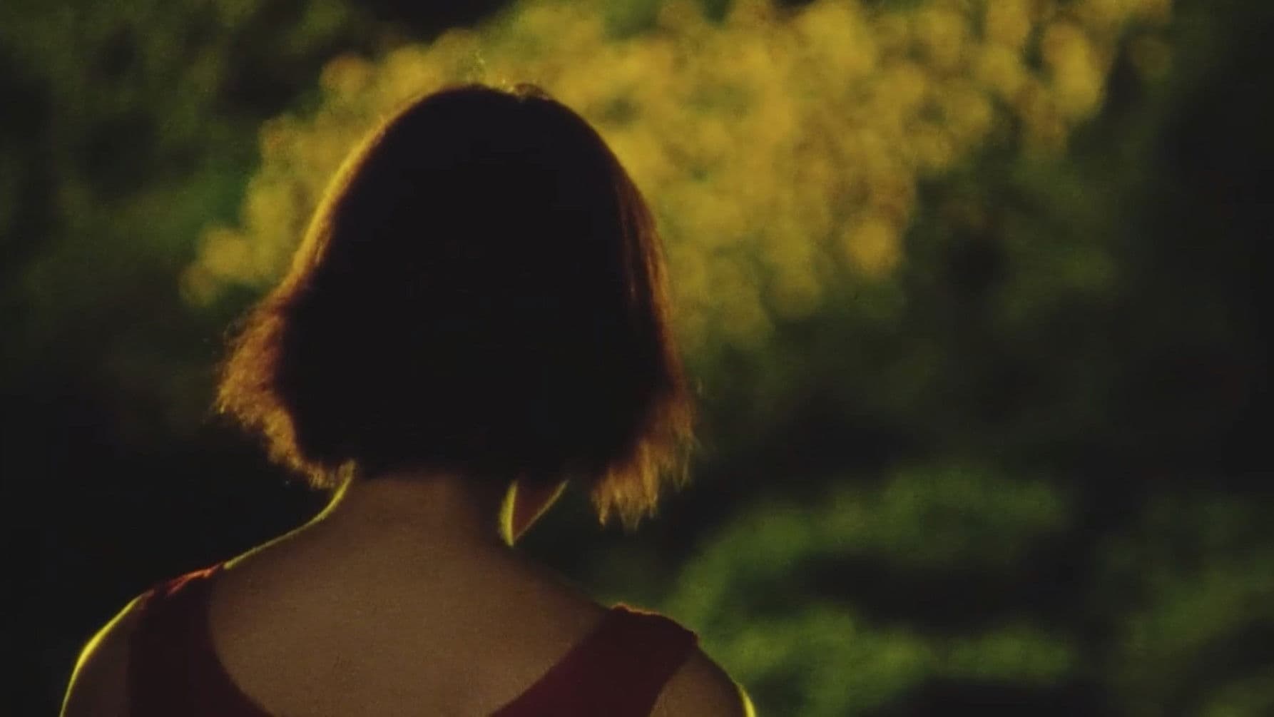 Poster backdrop for Sunflower