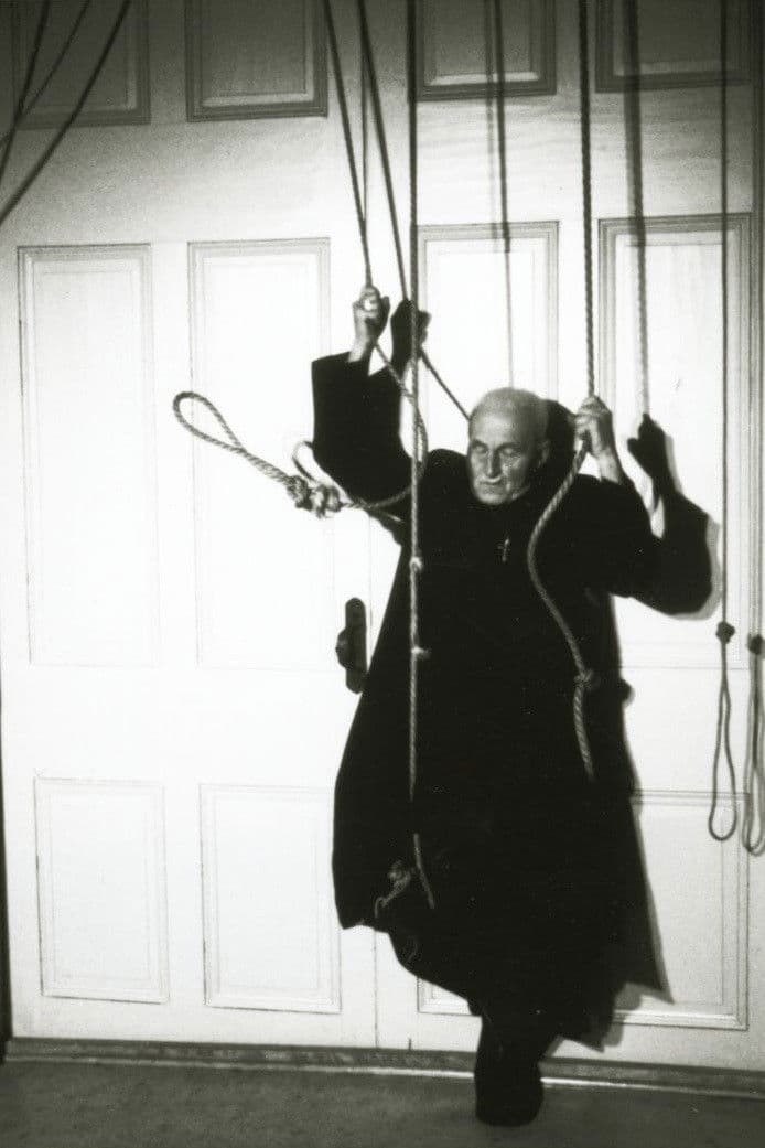 Poster backdrop for La journée d'un curé de campagne