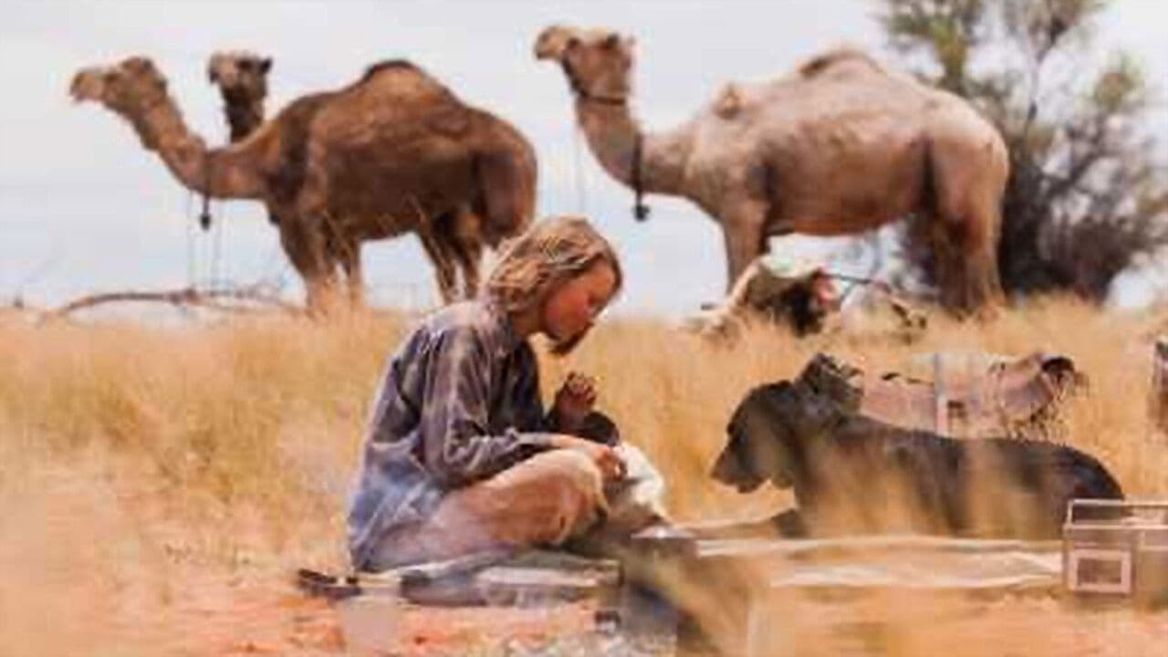 Poster backdrop for Trilhas