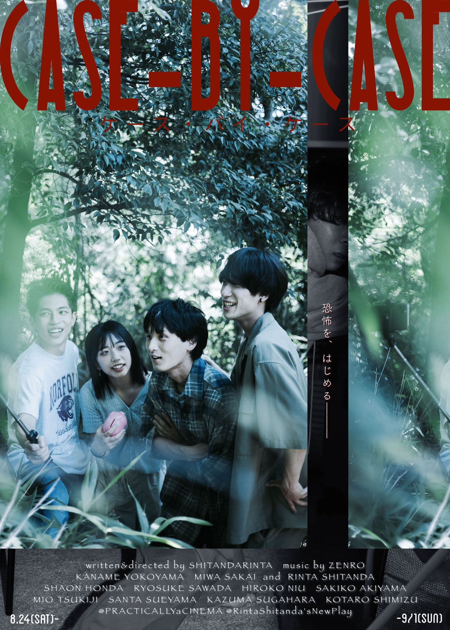 Poster backdrop for CASE-BY-CASE