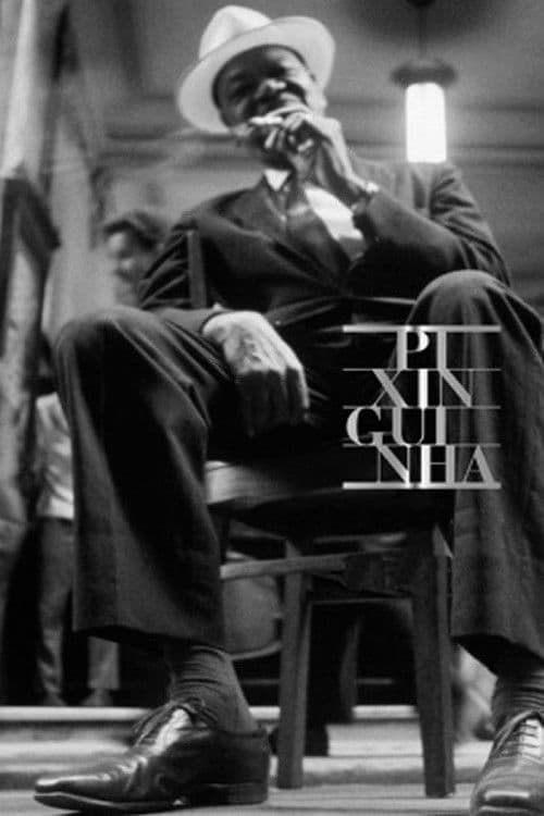 Poster backdrop for Pixinguinha