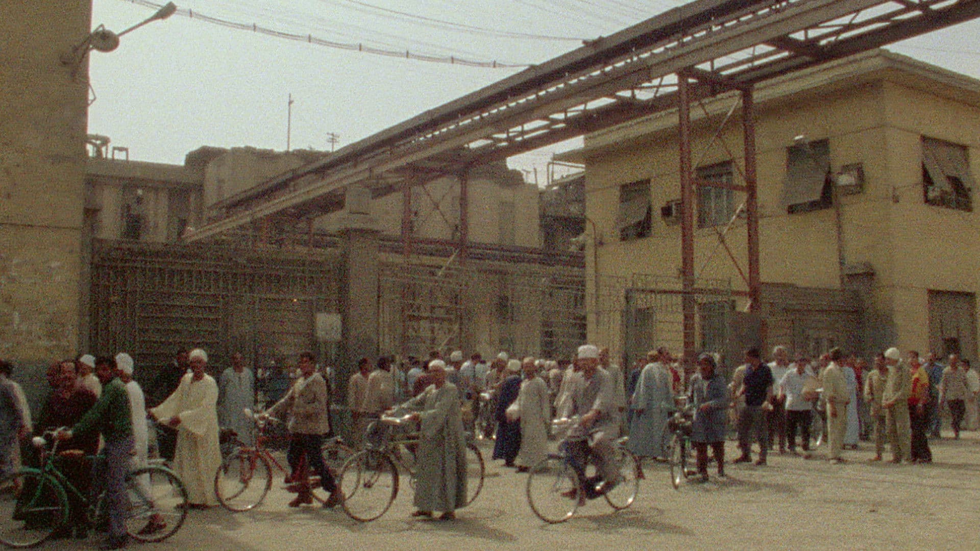 Poster backdrop for Too Early / Too Late