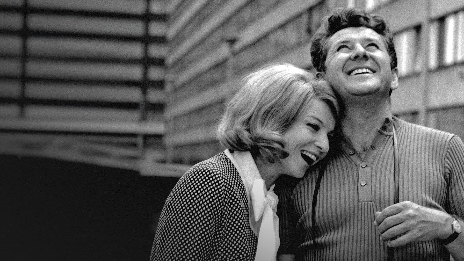 Poster backdrop for Affairs of my Wife