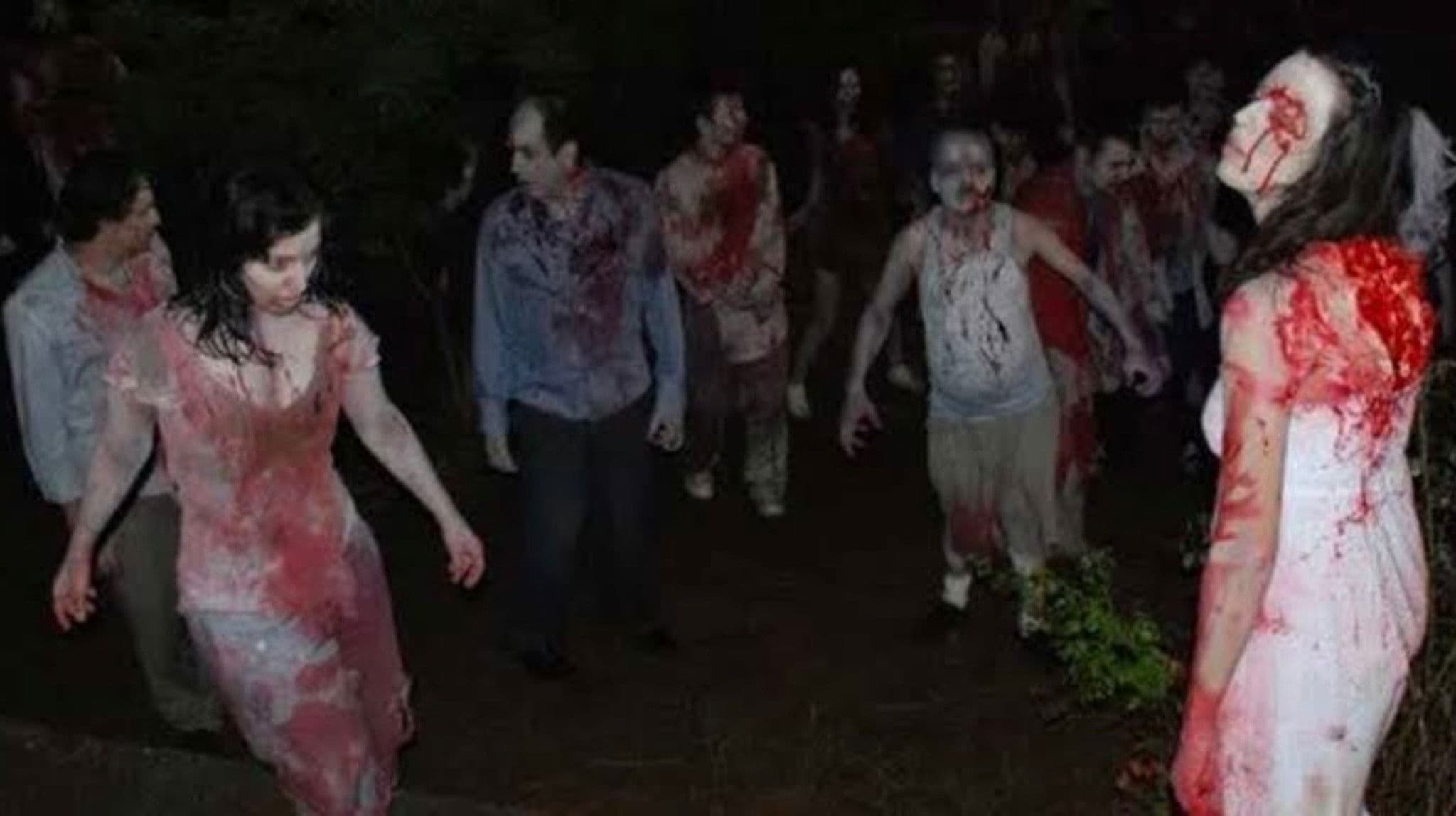 Poster backdrop for Island: Wedding of the Zombies