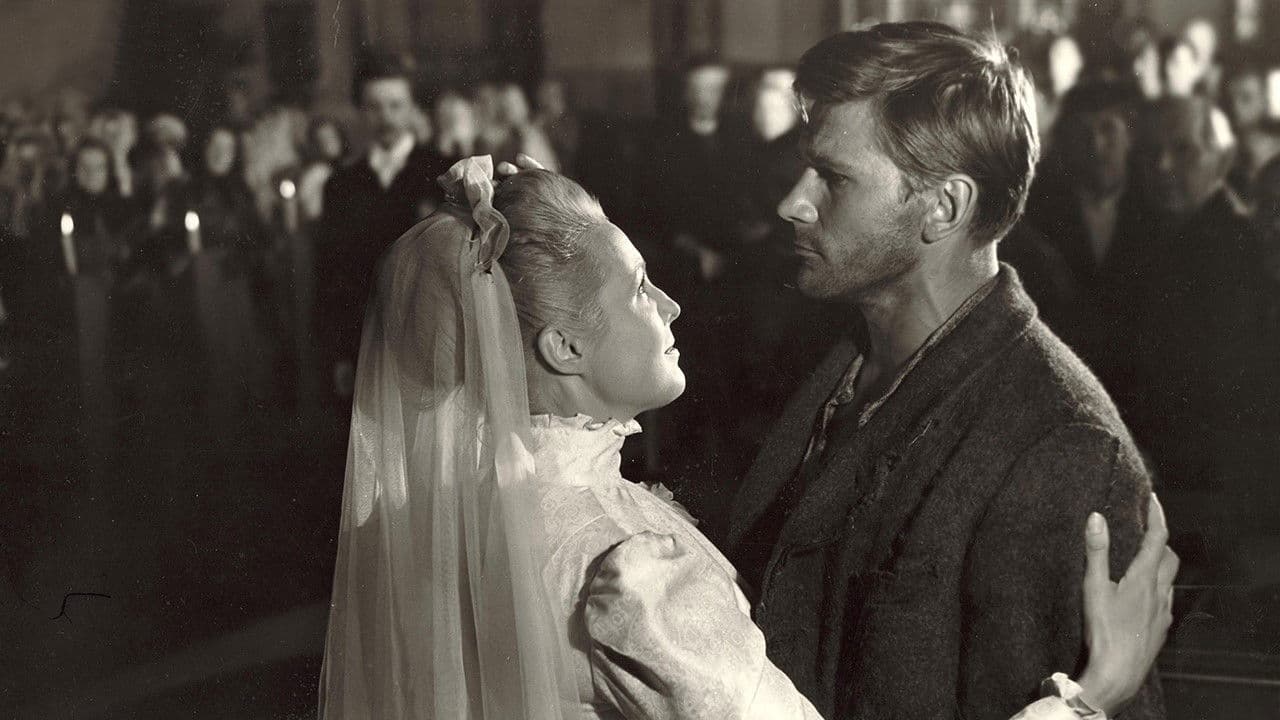 Poster backdrop for The Swamp Wader