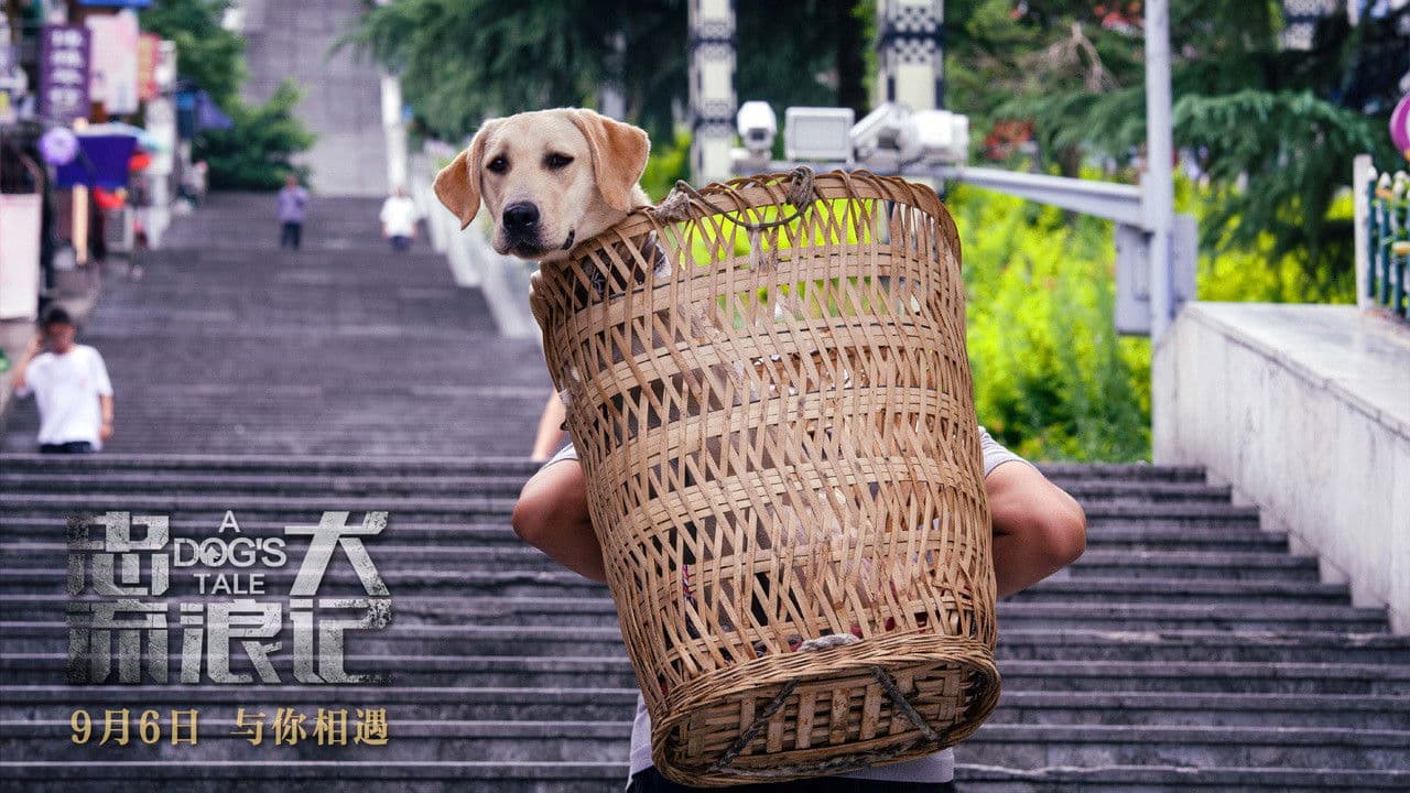 Poster backdrop for A Dog's Tale