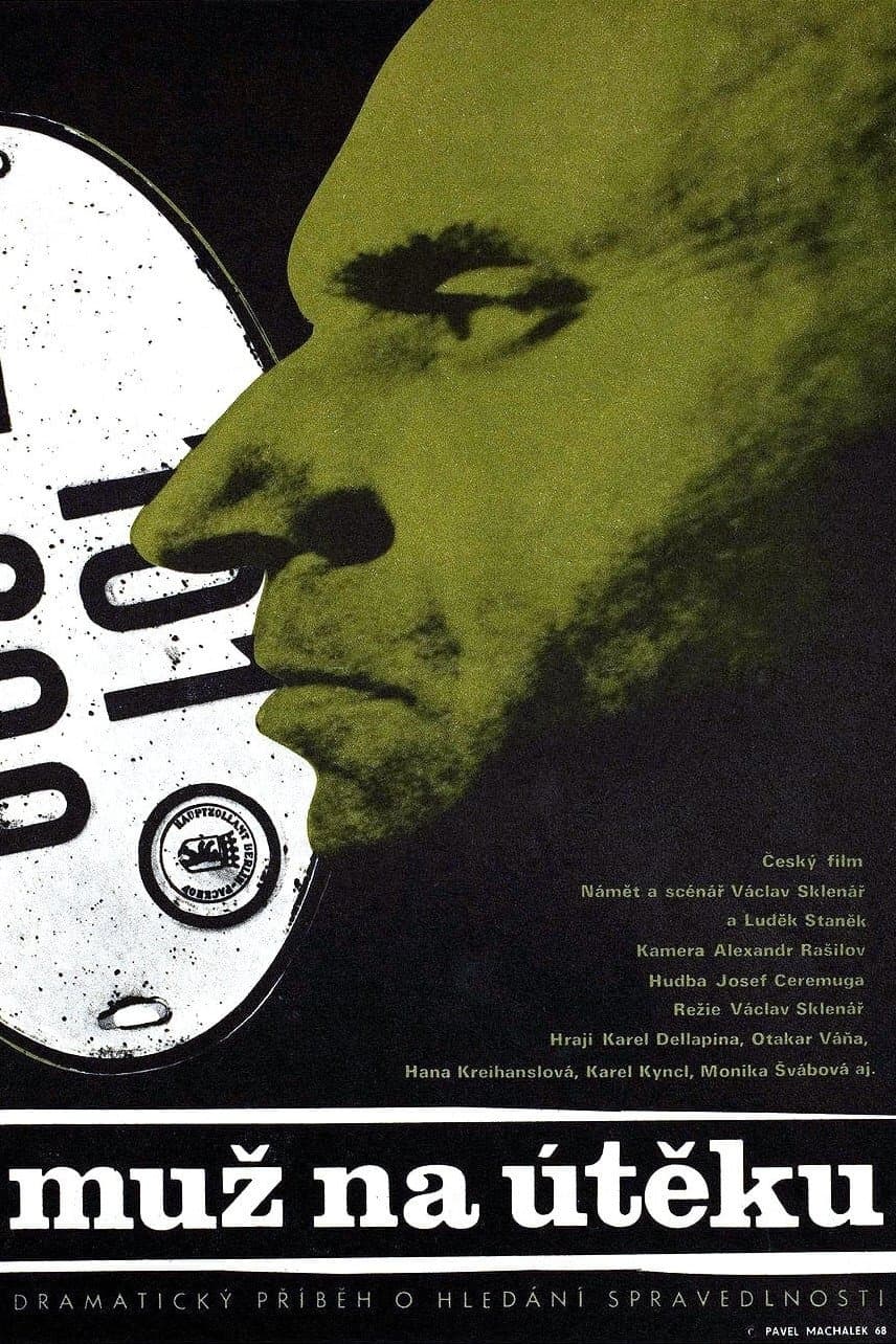 Poster backdrop for A Man on the Run