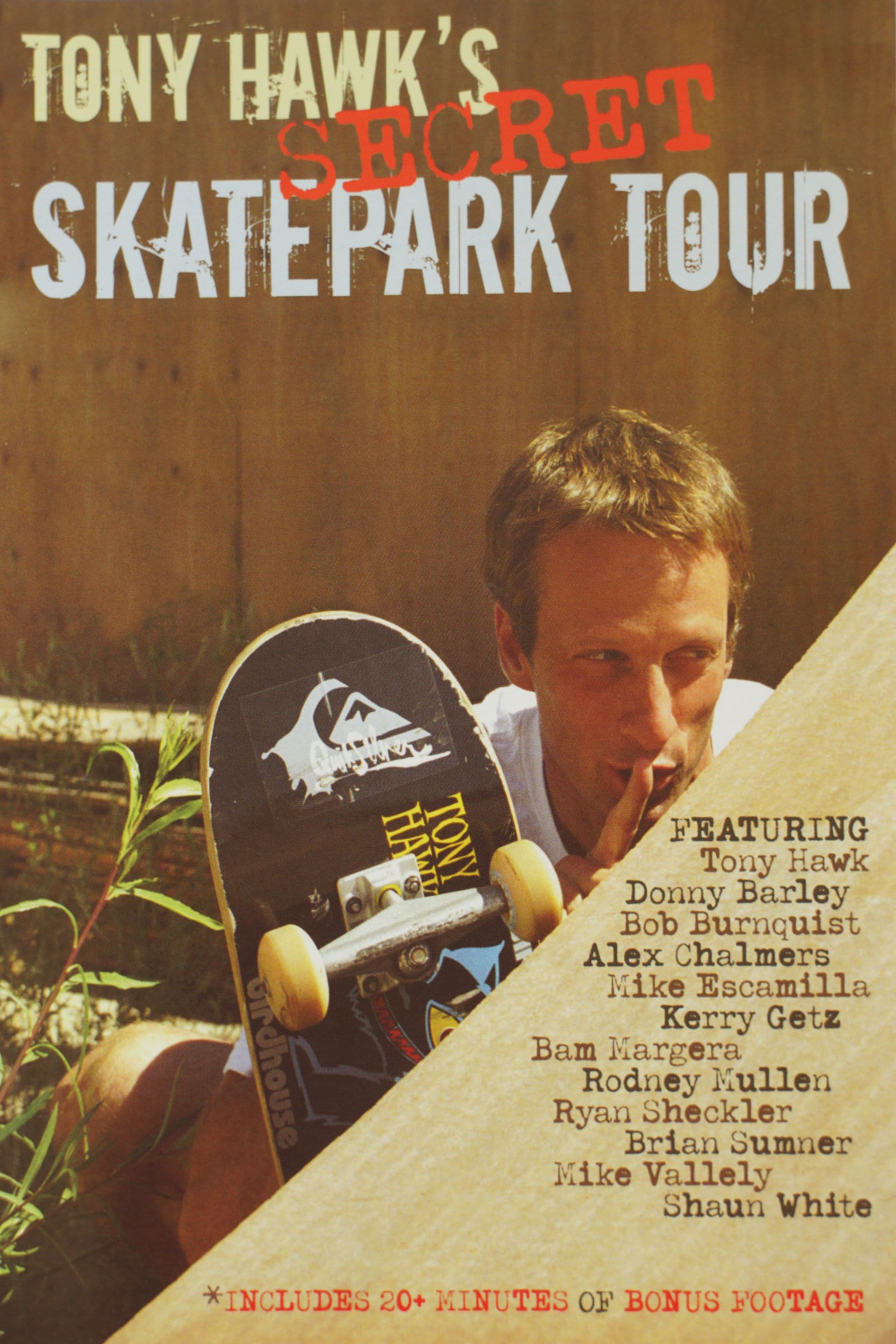 Poster backdrop for Tony Hawk's Secret Skatepark Tour