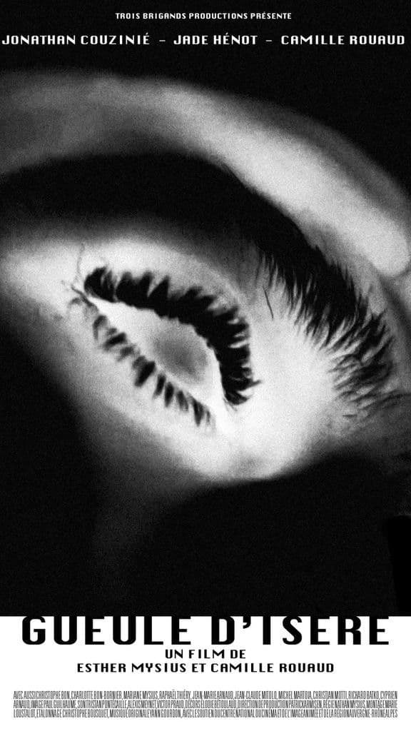 Poster backdrop for Gueule d'Isère