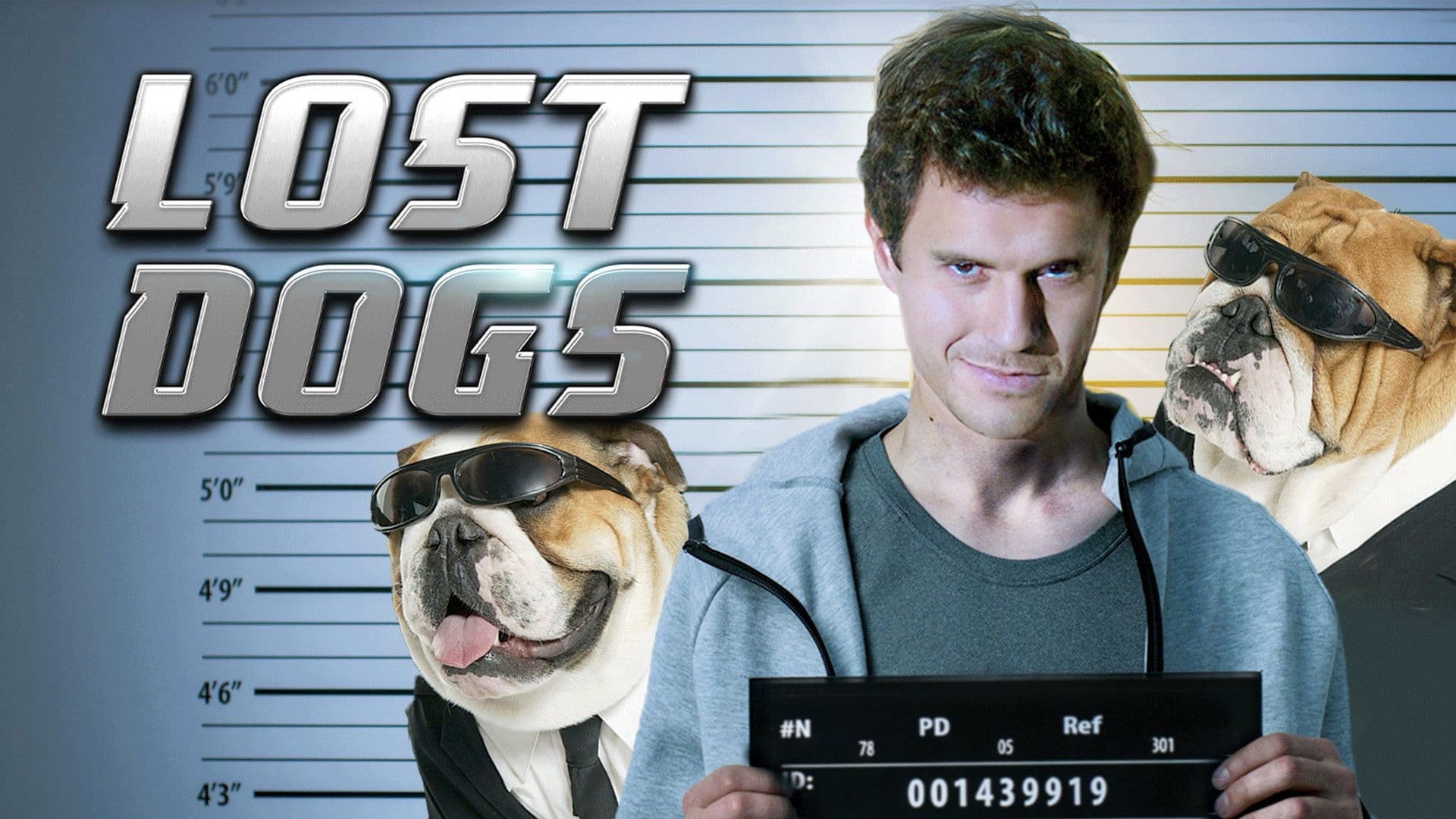 Poster backdrop for Lost Dogs