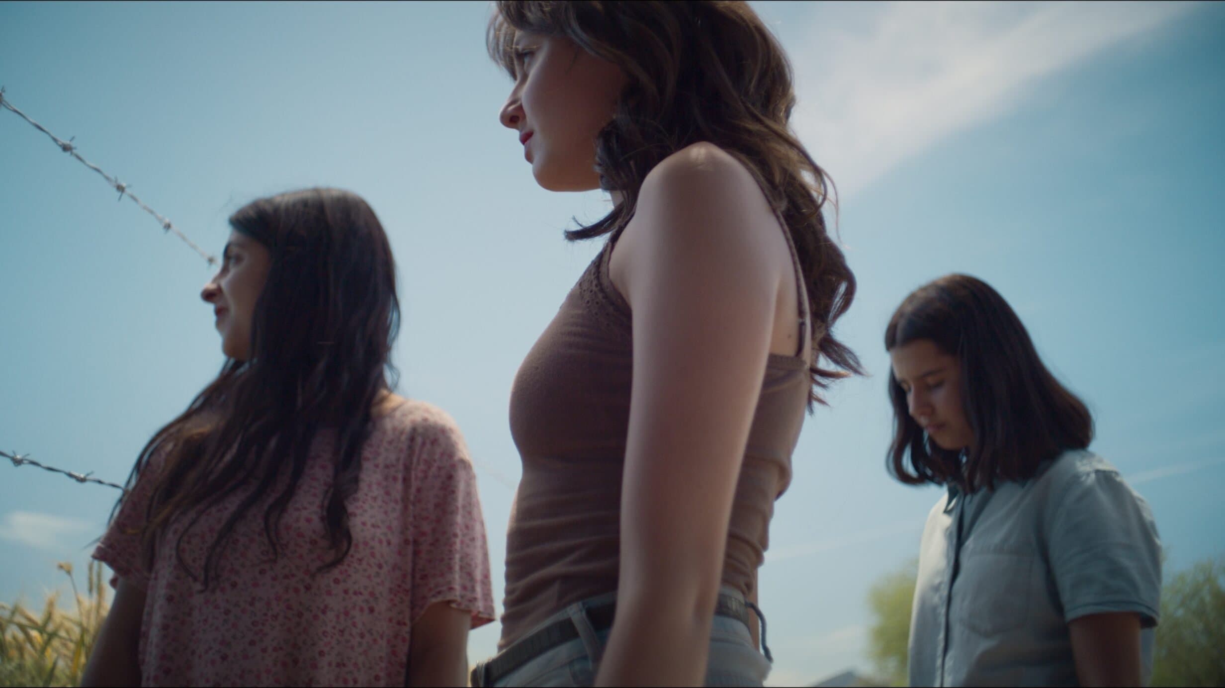 Poster backdrop for Wheatfield