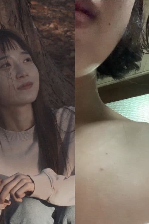 Poster backdrop for House in the Summer