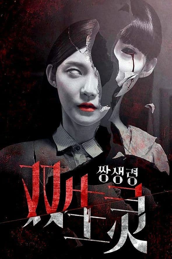 Poster backdrop for Twin Spirit