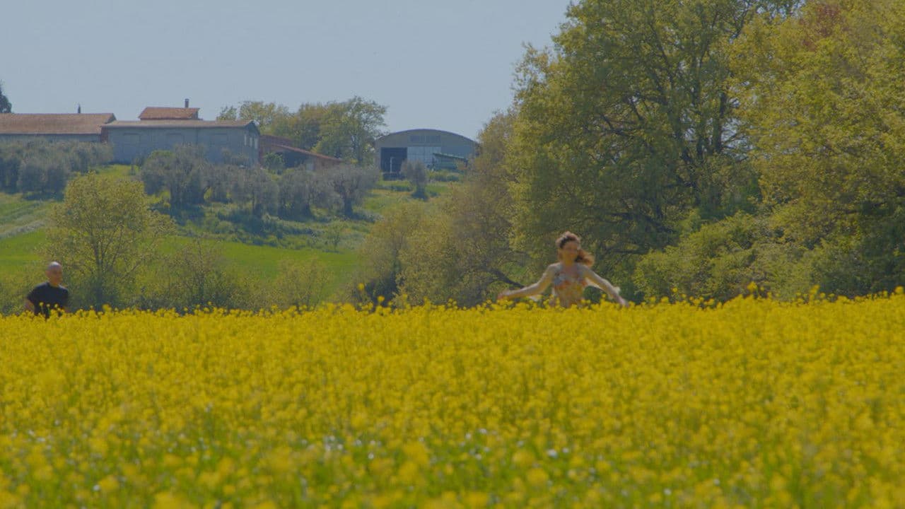 Poster backdrop for The Dream Fisher
