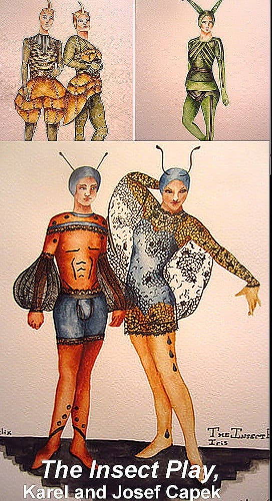 Poster backdrop for The Insect Play