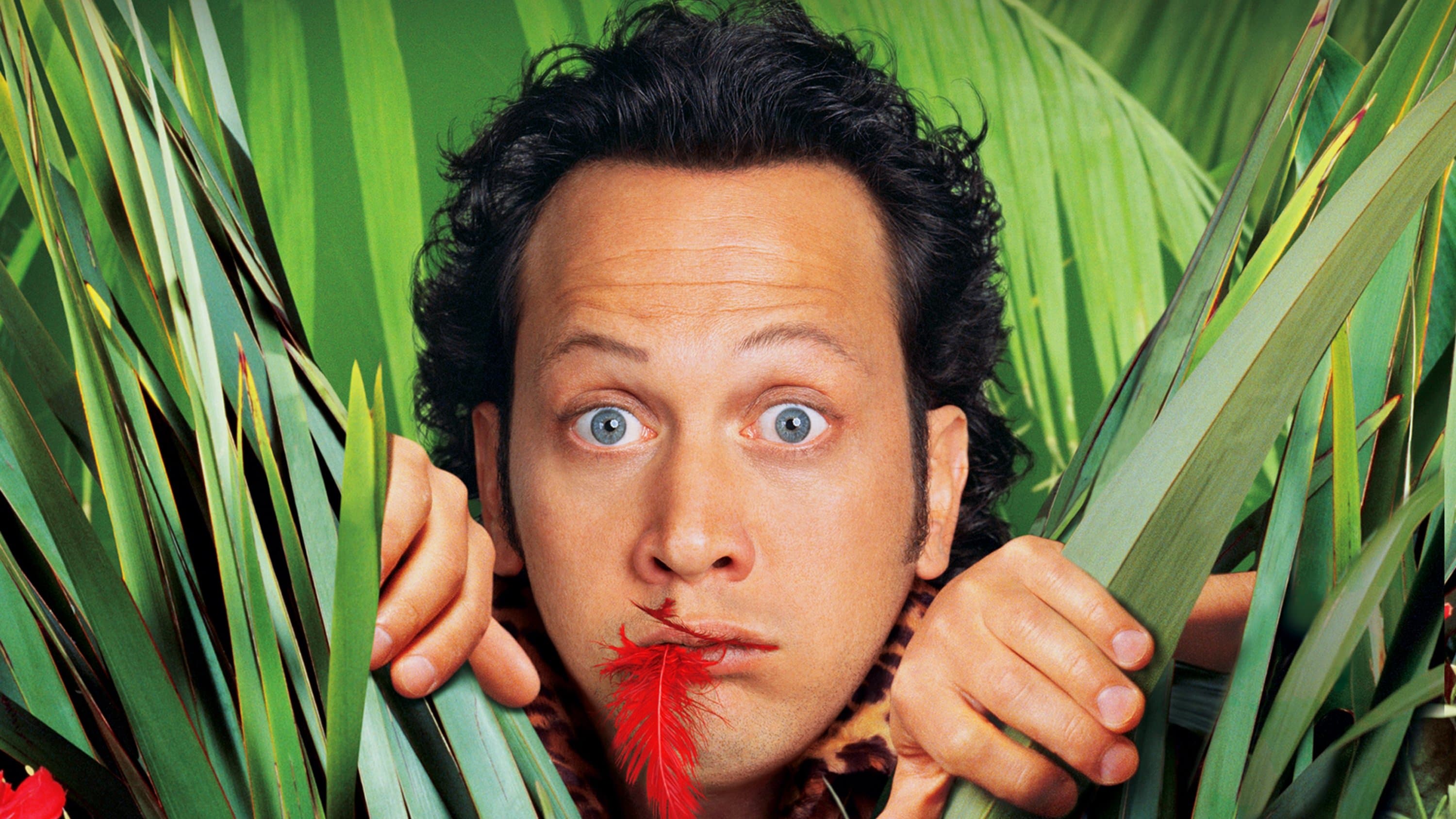 Poster backdrop for The Animal