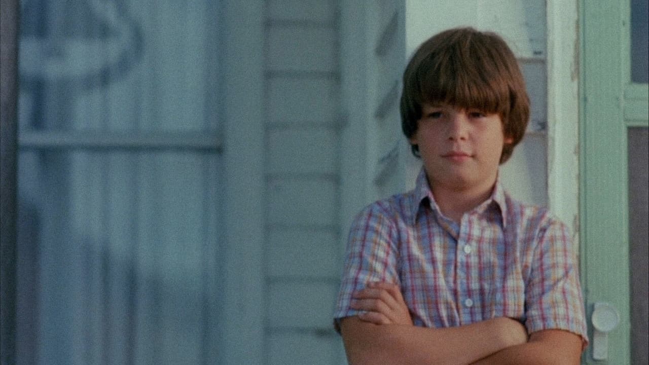 Poster backdrop for The Stone Boy