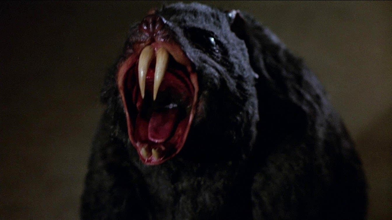 Poster backdrop for Deadly Eyes