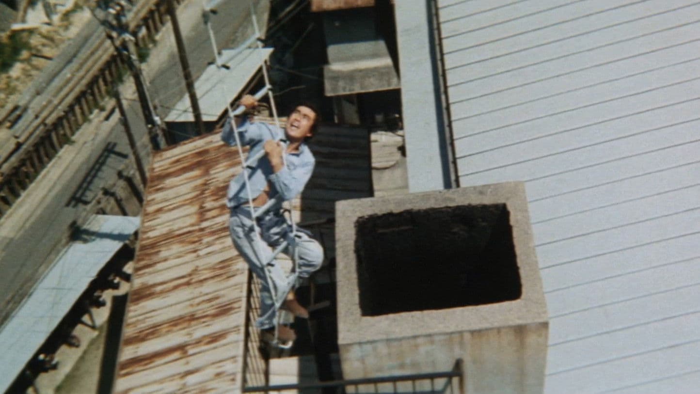 Poster backdrop for Jail Breakers