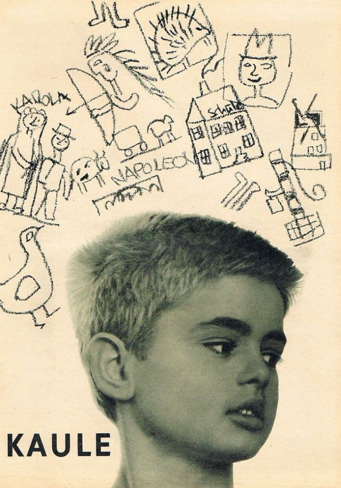 Poster backdrop for Kaule