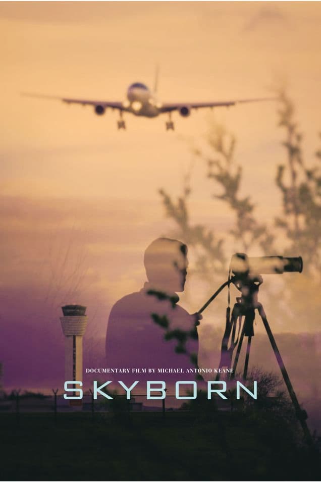 Poster backdrop for Skyborn