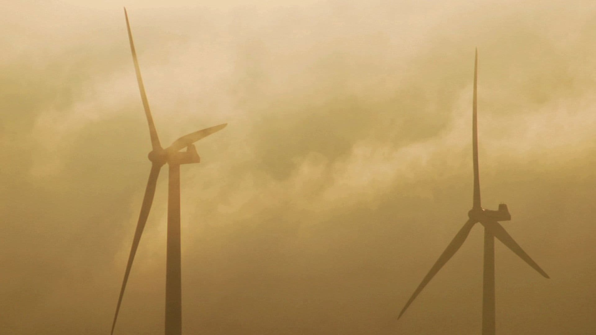 Poster backdrop for Windfall