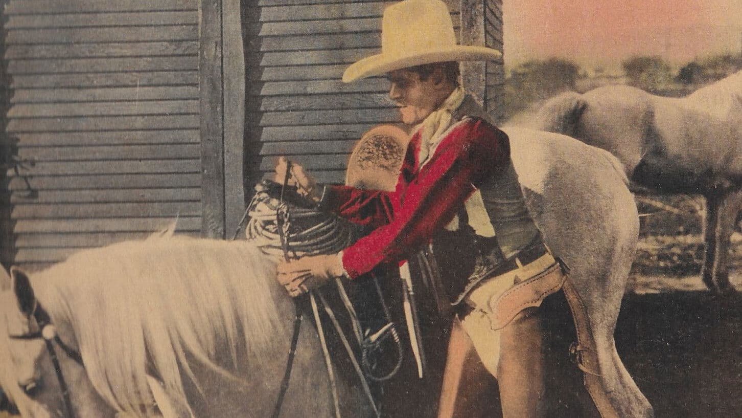 Poster backdrop for Senor Daredevil