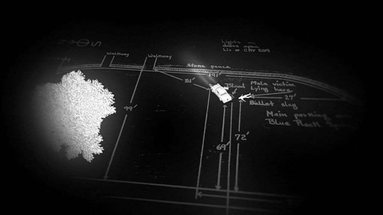 Poster backdrop for This Is the Zodiac Speaking