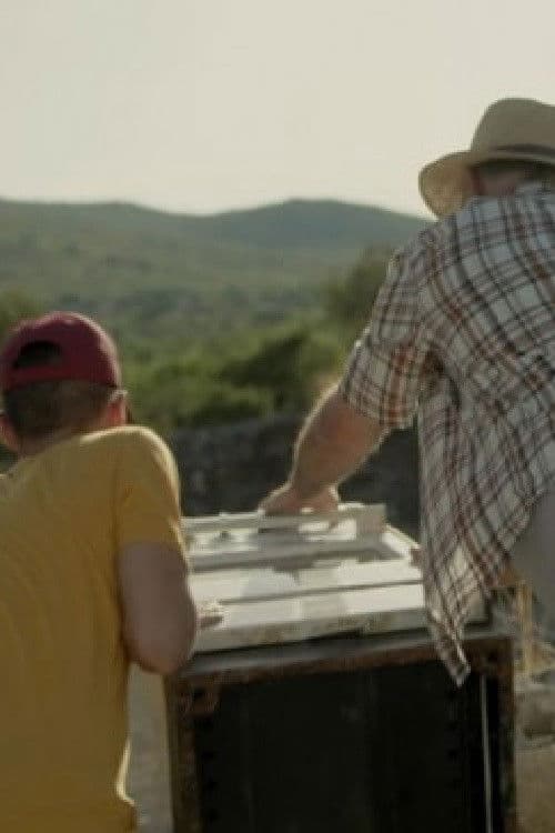 Poster backdrop for Bulky Waste