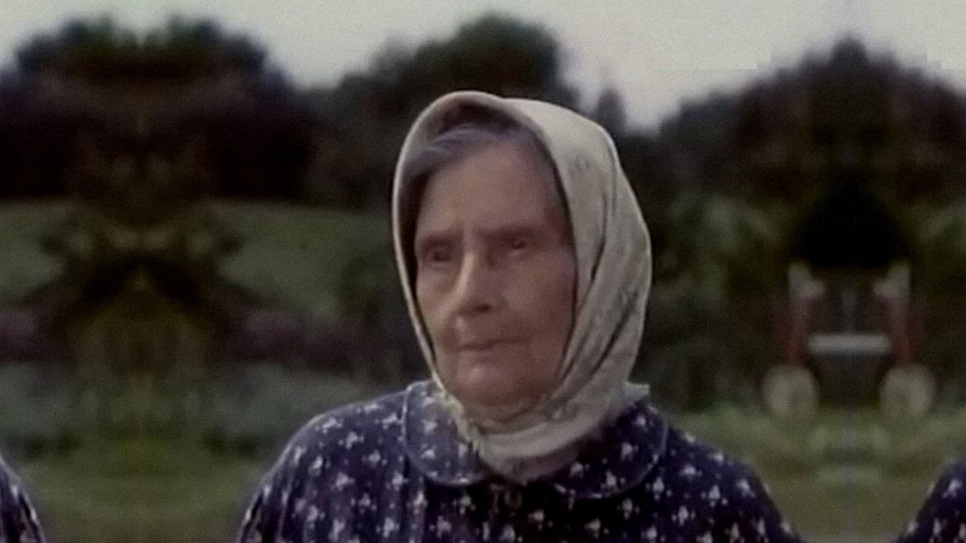 Poster backdrop for Little Stork