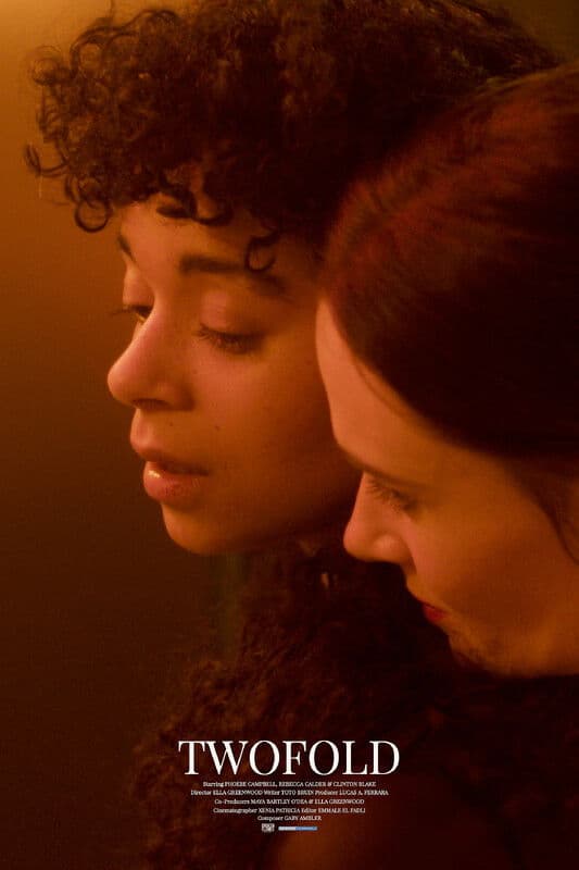 Poster backdrop for Twofold