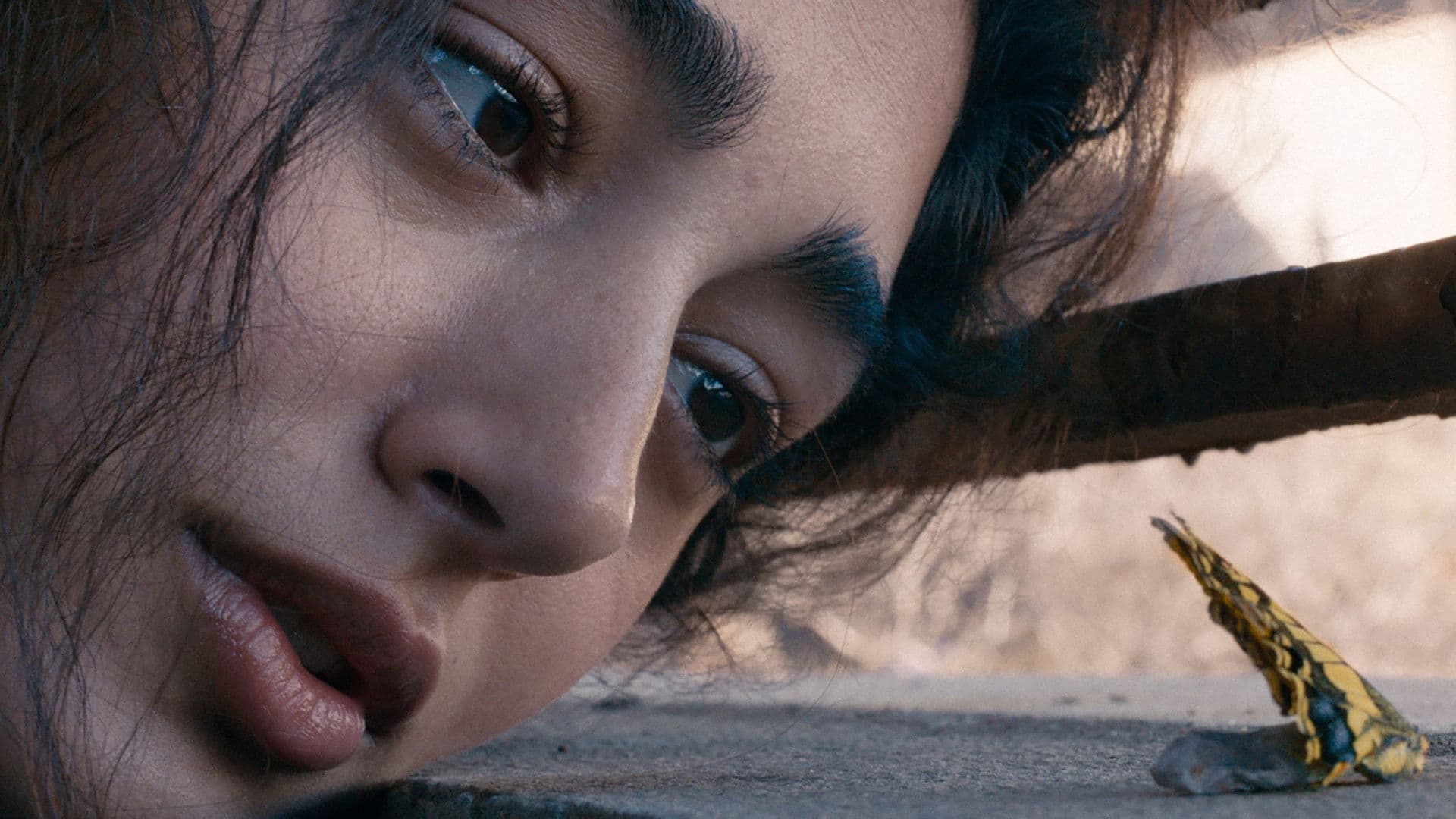 Poster backdrop for Go Home