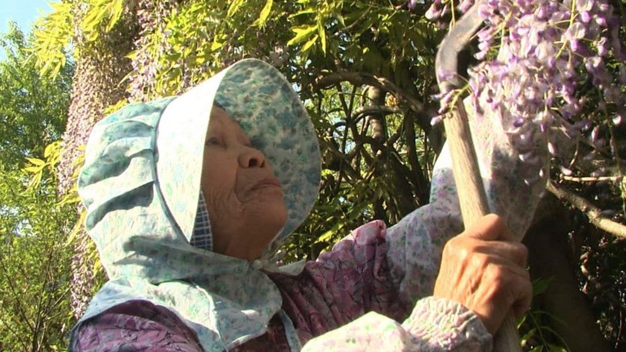Poster backdrop for Grandma's Eternal Forest