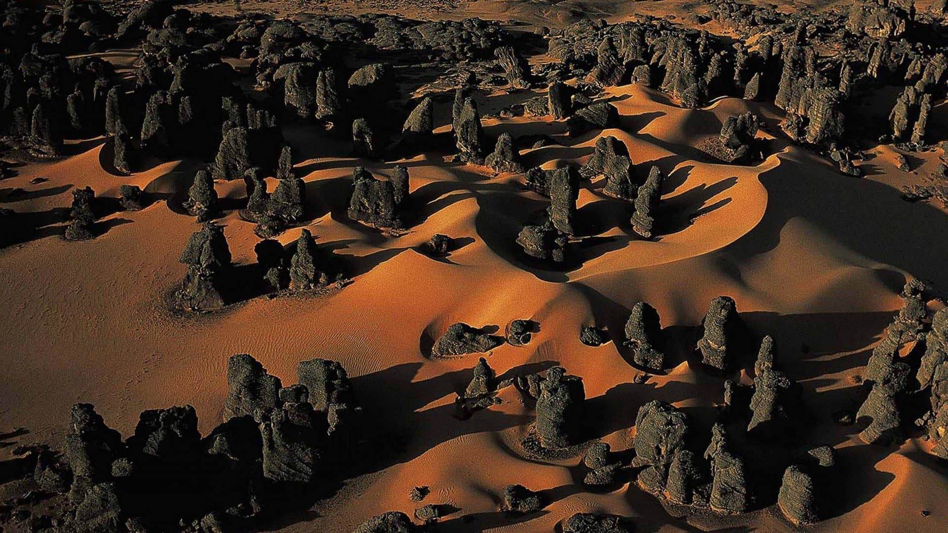 Poster backdrop for Algeria from Above