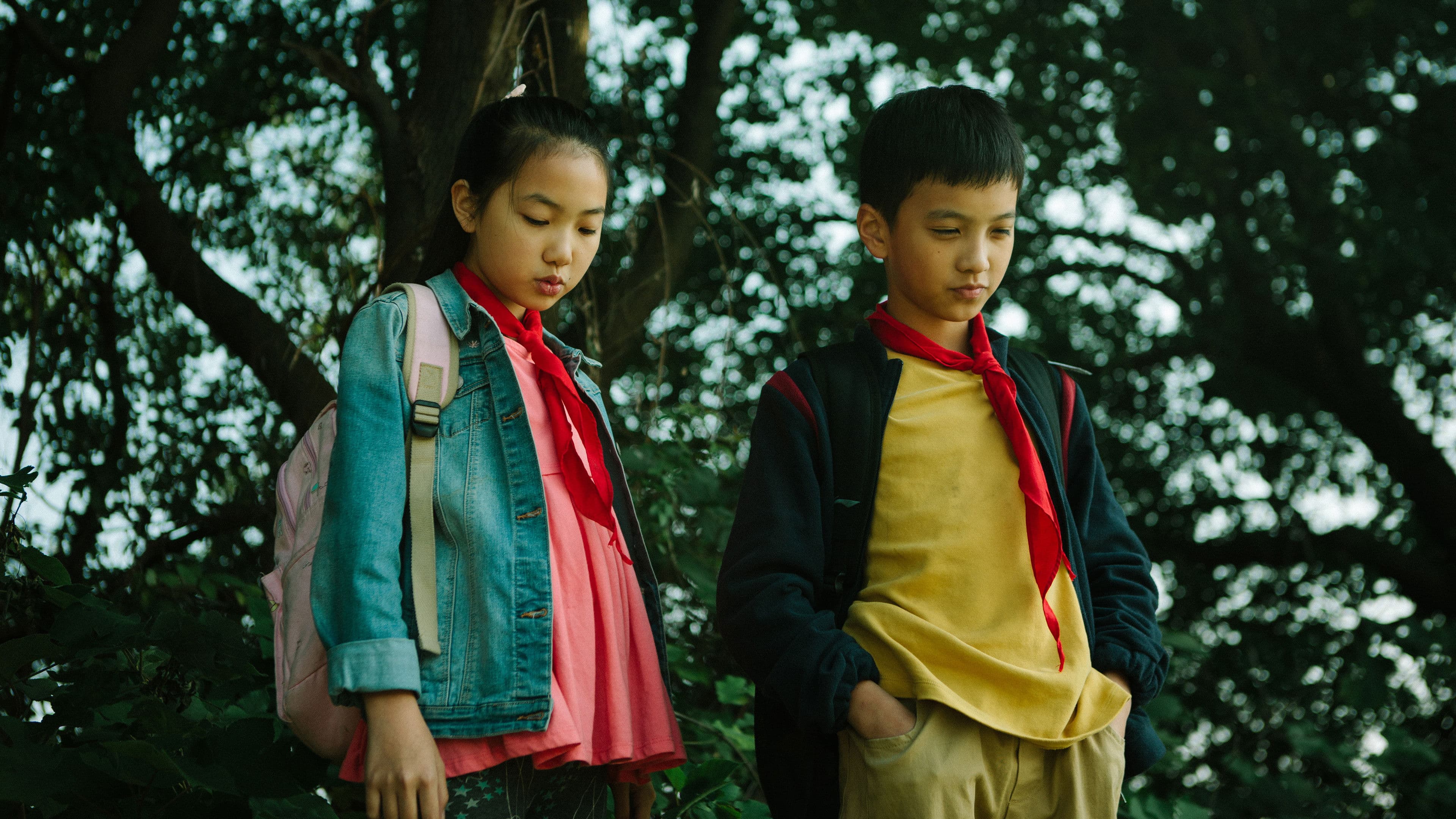 Poster backdrop for Suburban Birds