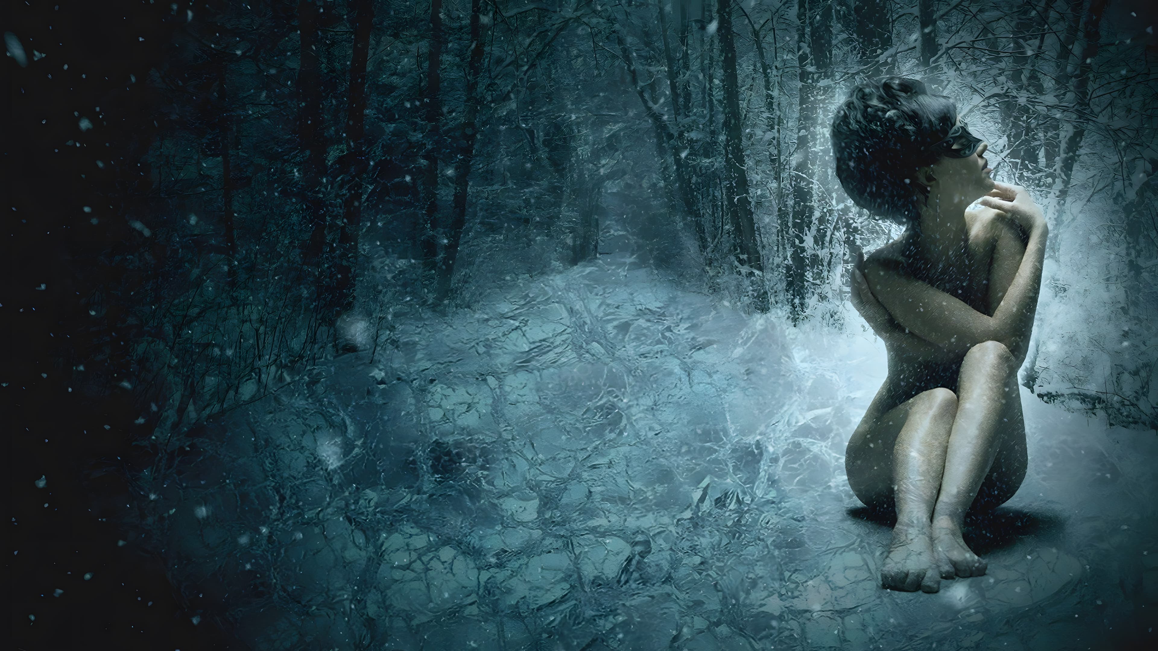 Poster backdrop for Snowbound