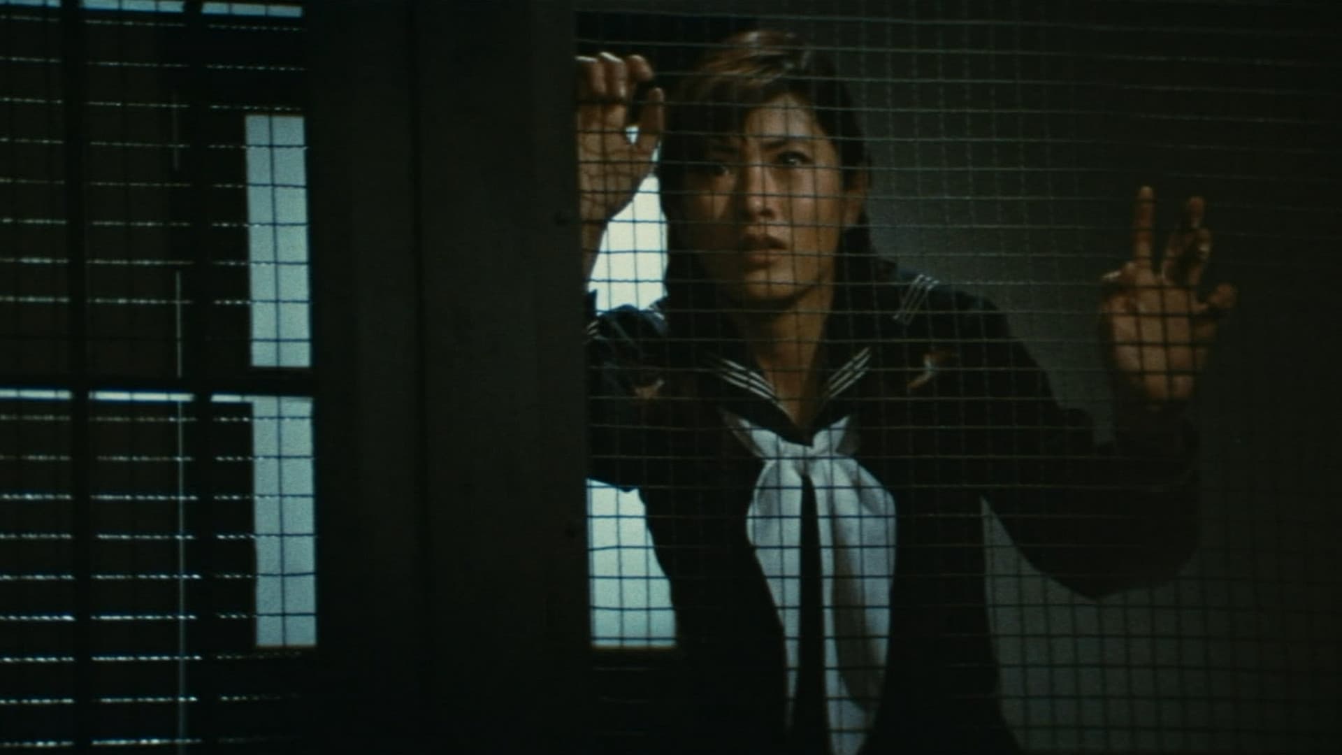 Poster backdrop for The Great Chase