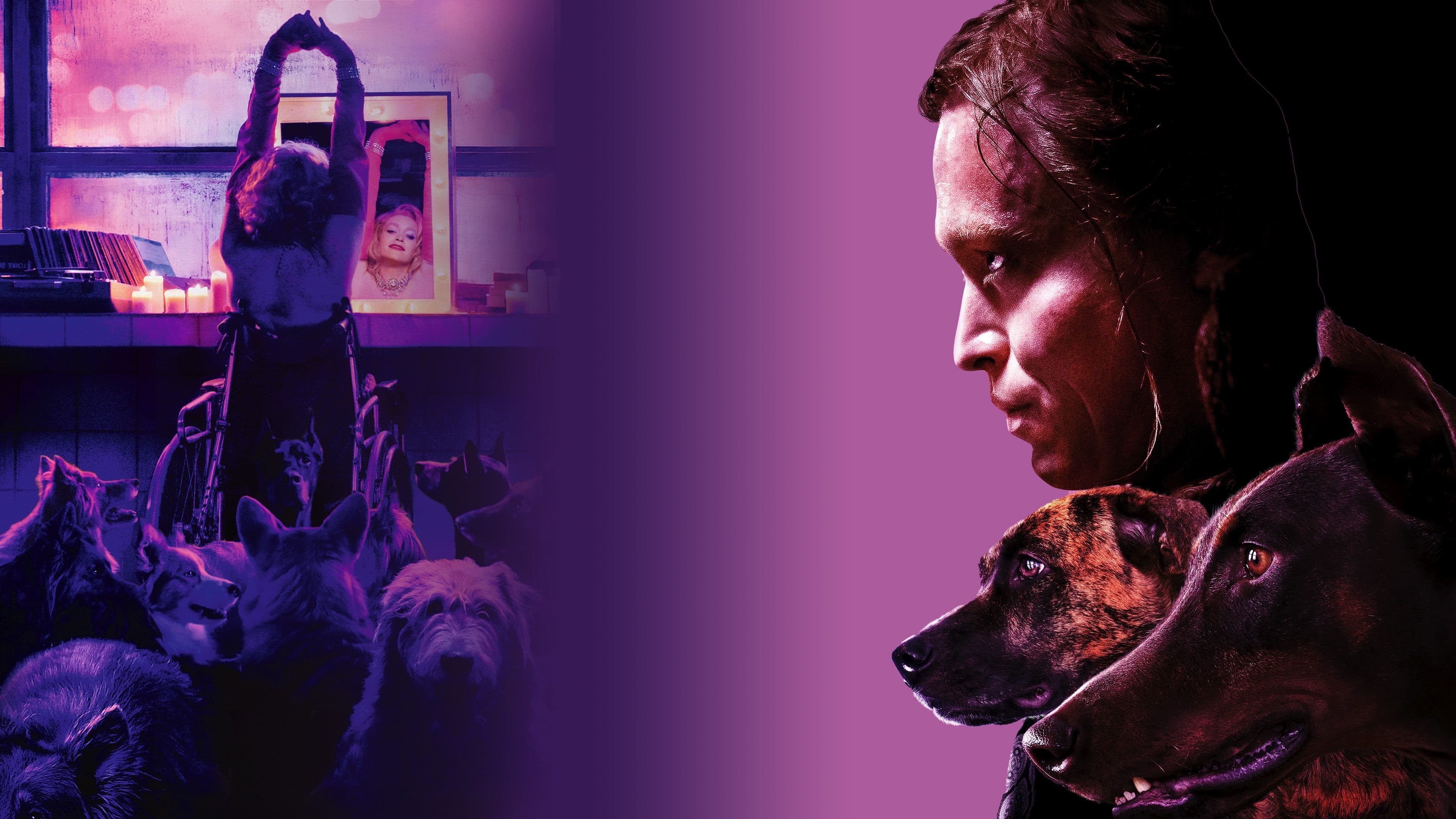 Poster backdrop for Dogman