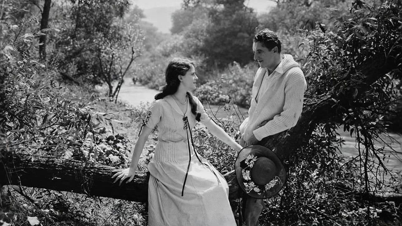 Poster backdrop for The Fourth Commandment