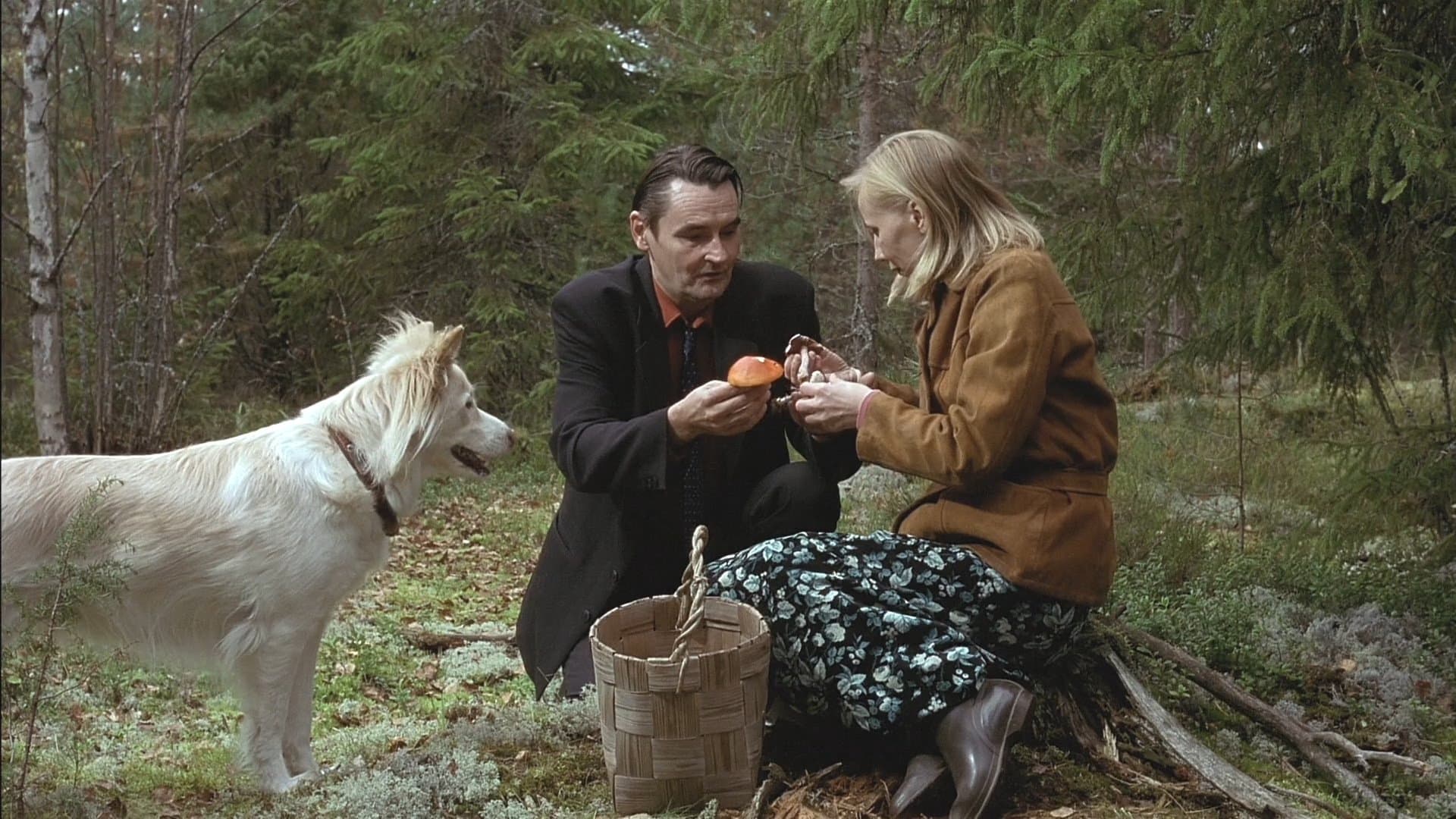 Poster backdrop for The Man Without a Past