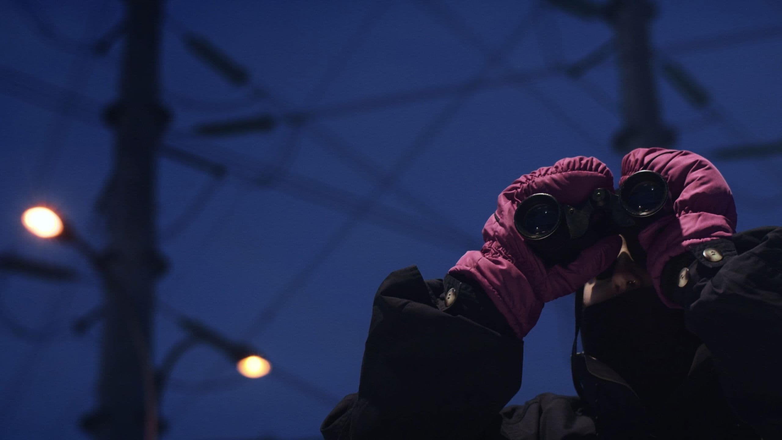 Poster backdrop for Miss Moto