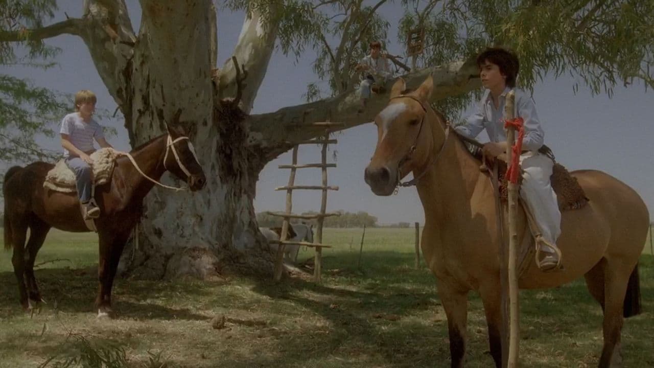 Poster backdrop for Summer of the Colt