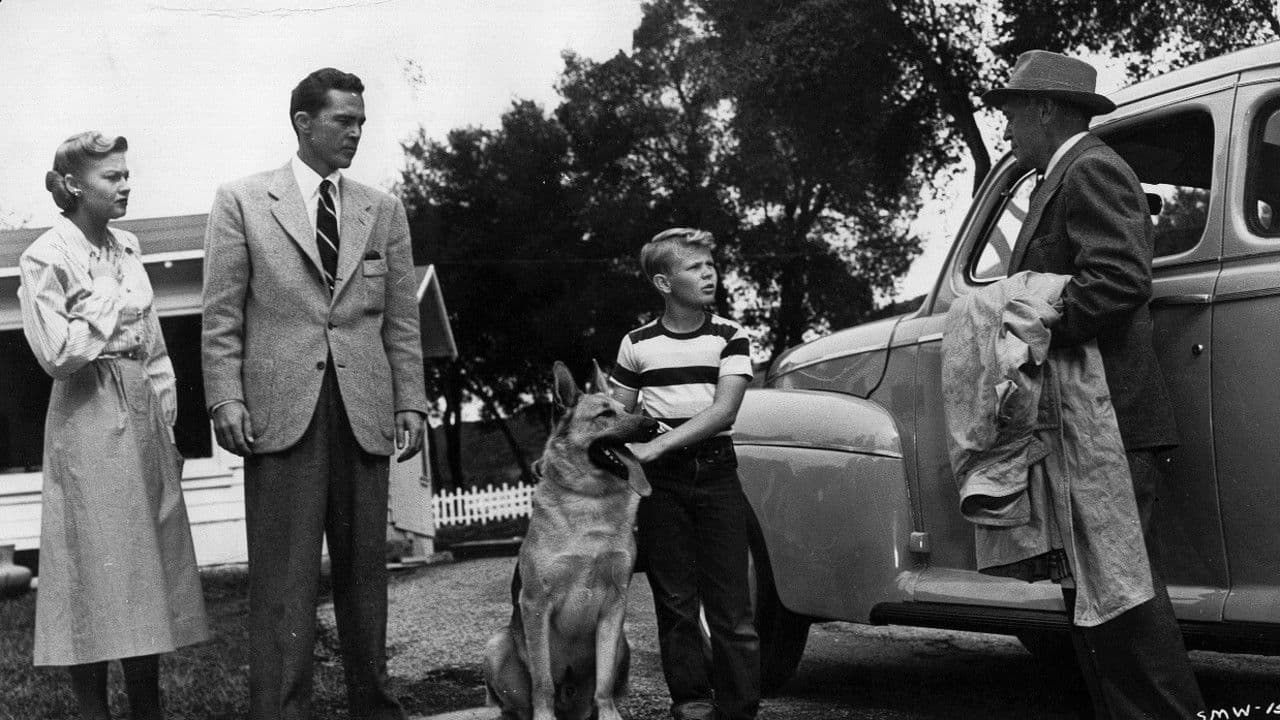 Poster backdrop for Night Wind