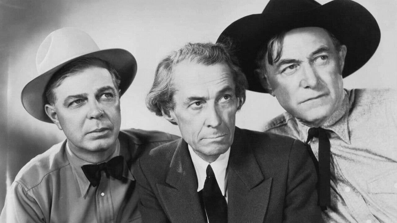 Poster backdrop for The Last Outlaw