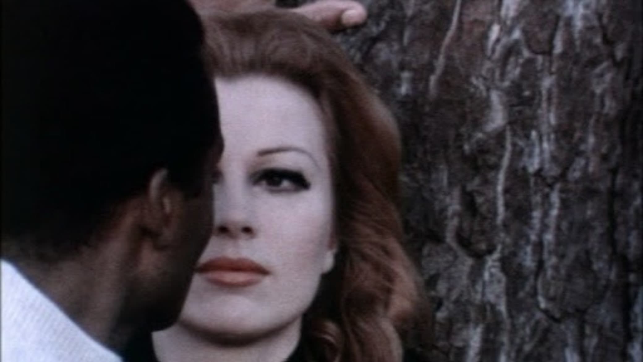 Poster backdrop for Attraction