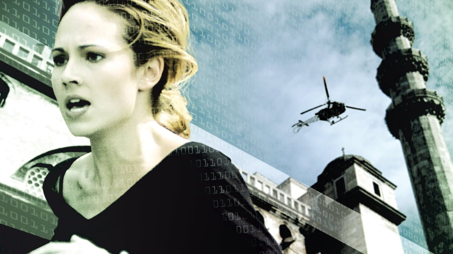 Poster backdrop for The Net 2.0